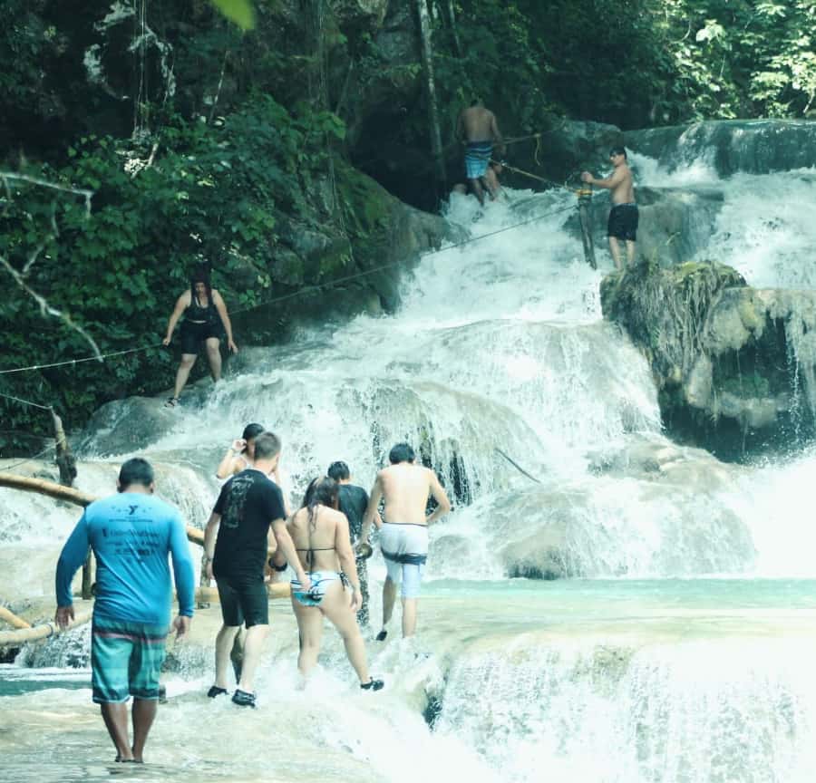 Galería de fotos para redes
