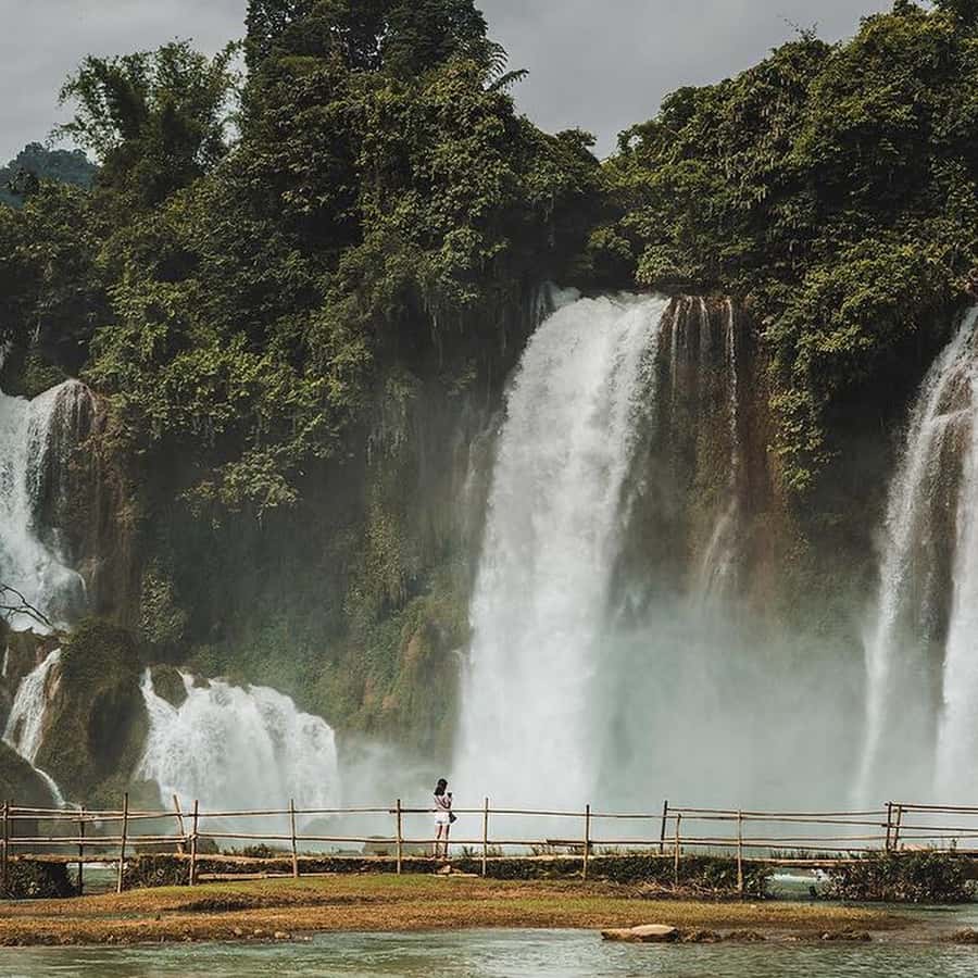 Galería de fotos para redes