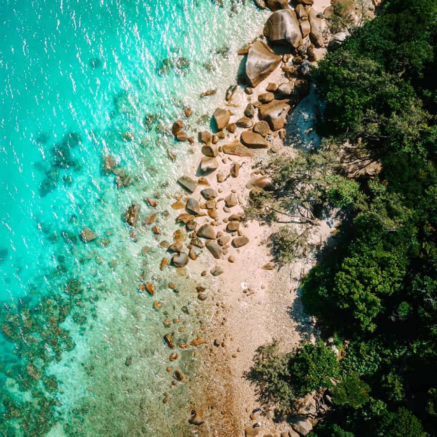 Cairns: Fitzroy Island Ferry with Snorkeling and Boat Tour