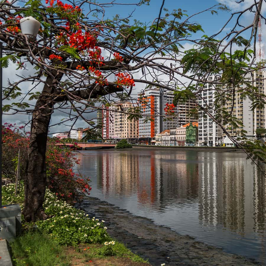Colagem de mídia