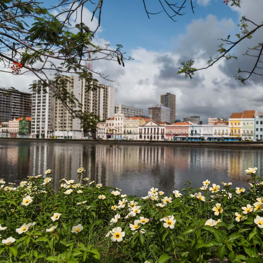 Colagem de mídia