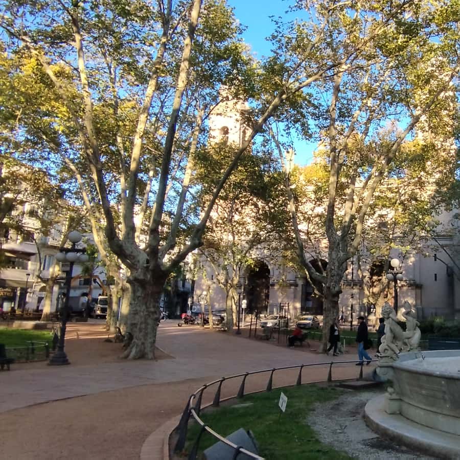 Colagem de mídia