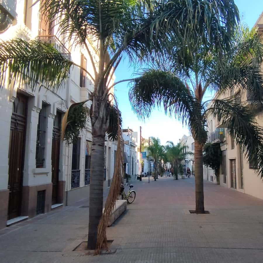 Colagem de mídia