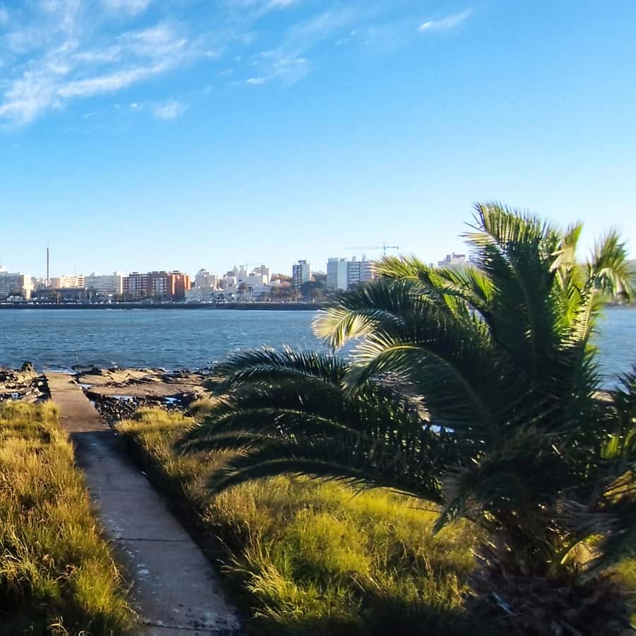 Colagem de mídia