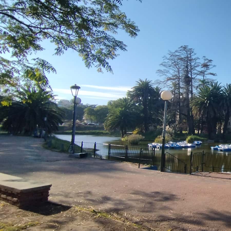 Colagem de mídia
