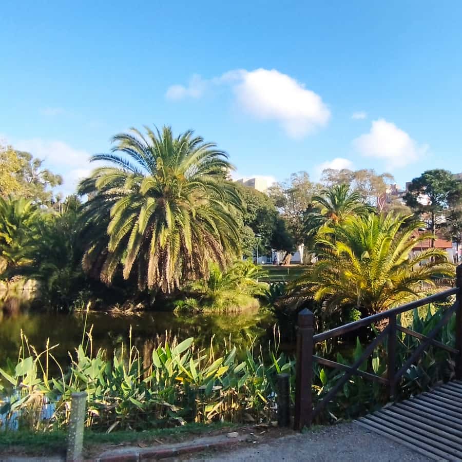 Colagem de mídia