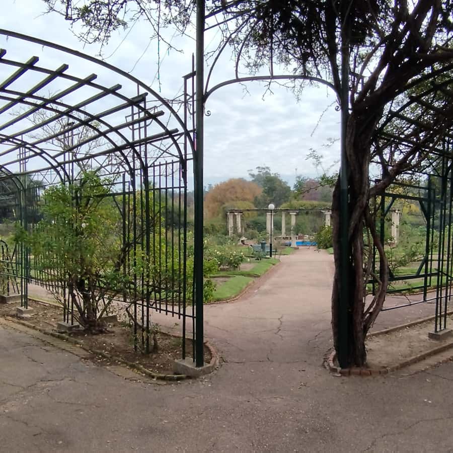 Colagem de mídia