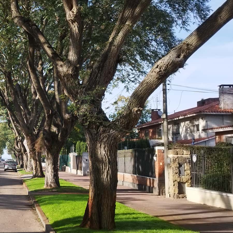 Colagem de mídia