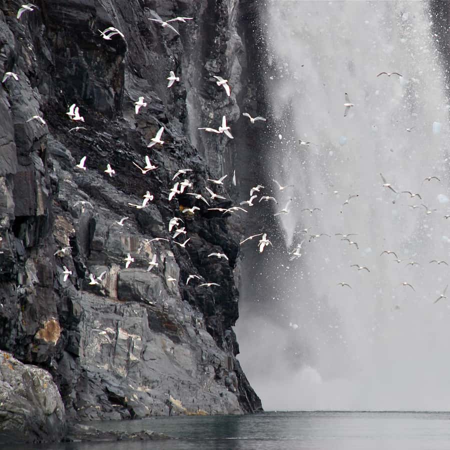 Mochila Turquesa Nintendo Super Mario Brothers - Mochila Escolar Para Niños  Y Niñas Y Mochila Infantil, image size:900x900