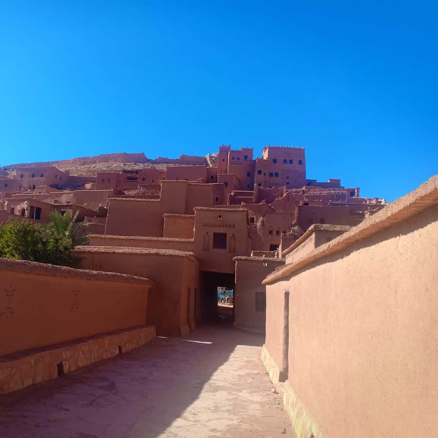 Galería de fotos para redes