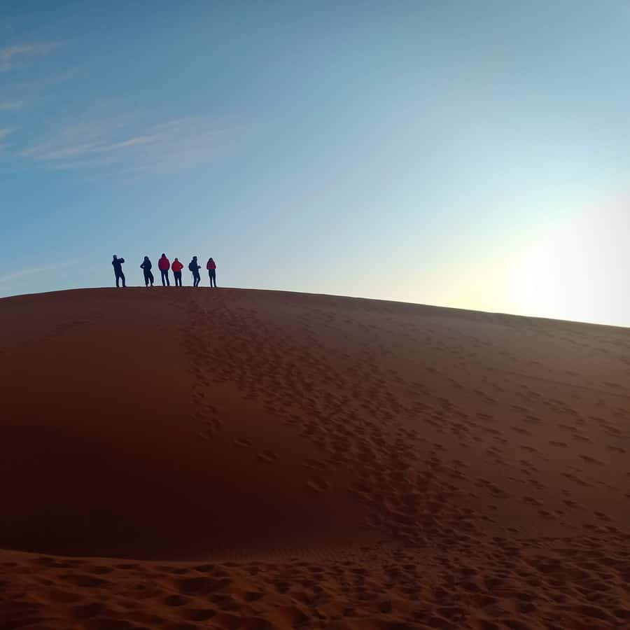 Galería de fotos para redes