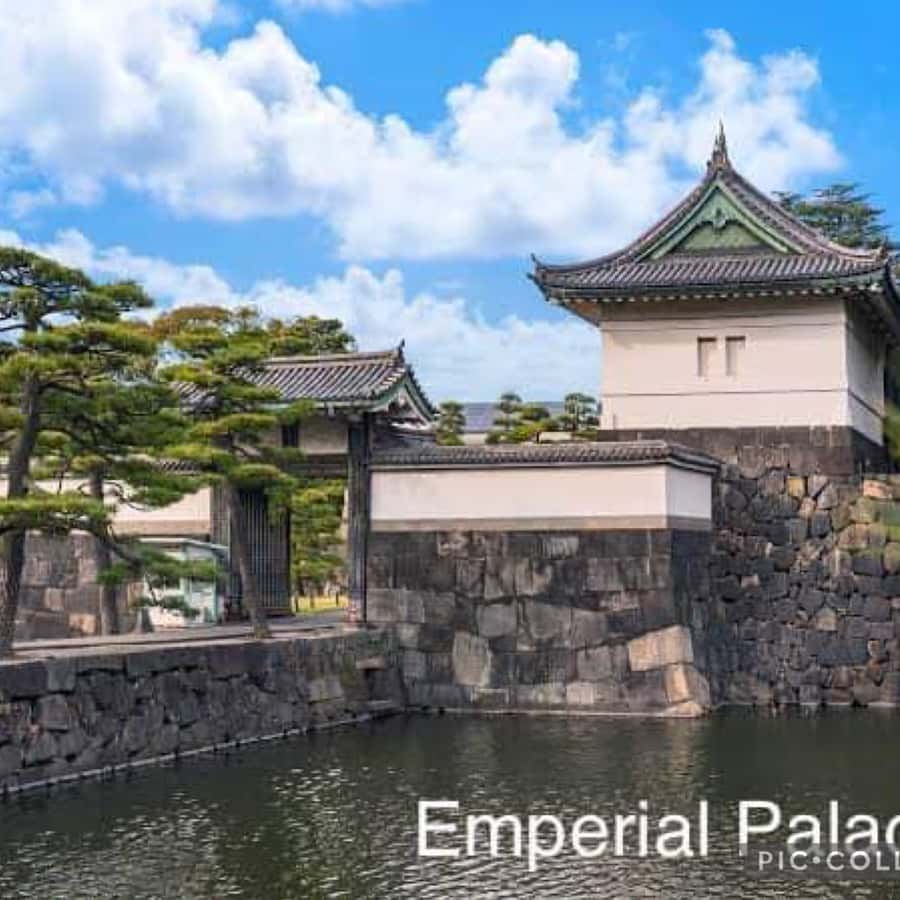 メディア コラージュ