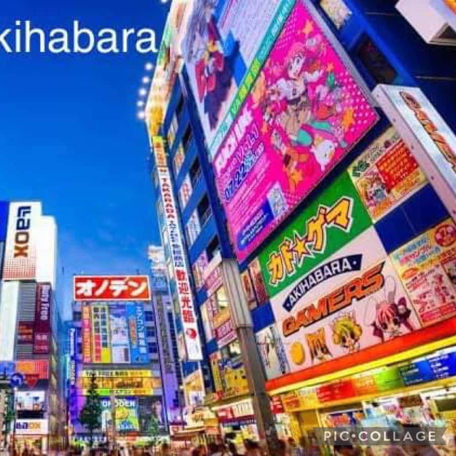 メディア コラージュ