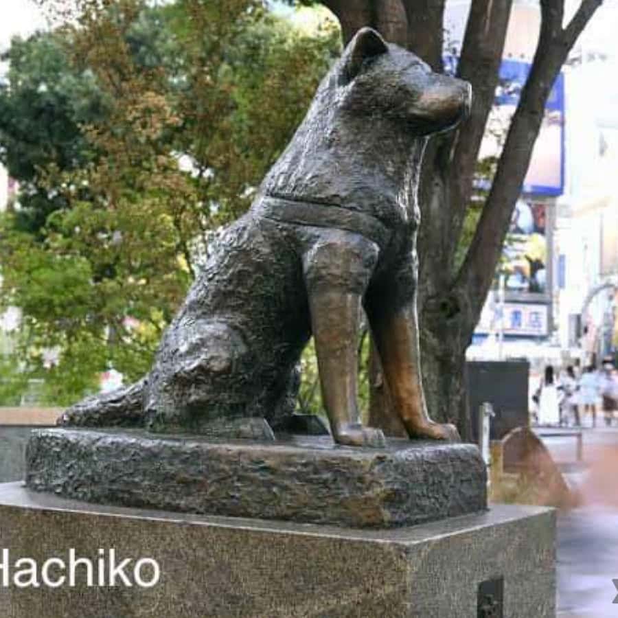 メディア コラージュ