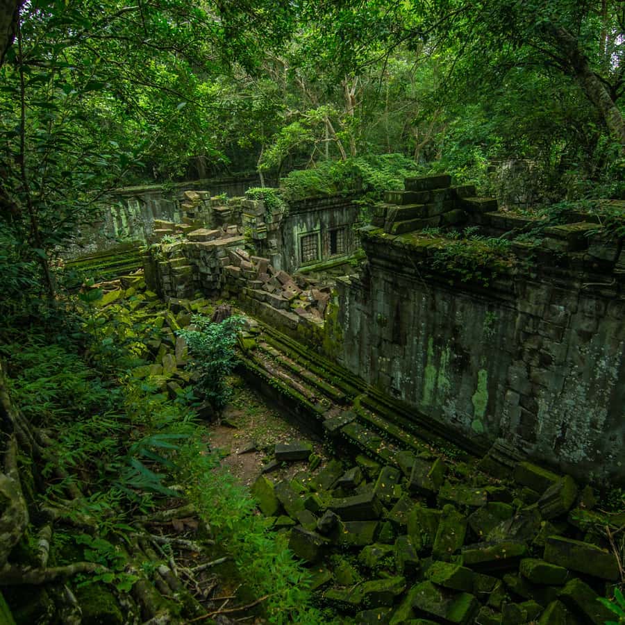 Colagem de mídia