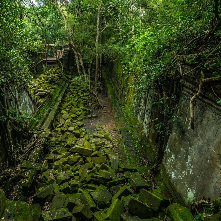 Colagem de mídia