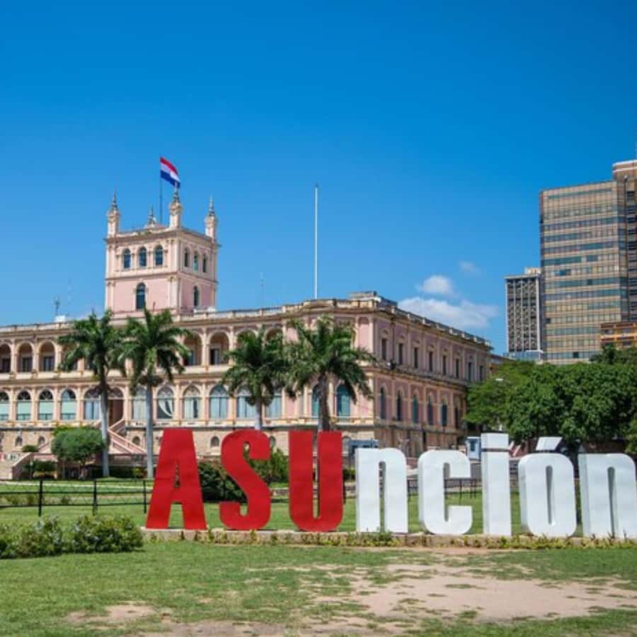 Galería de fotos para redes