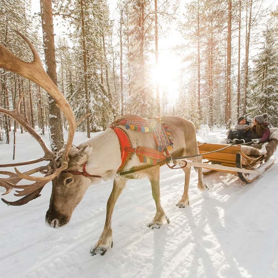 Медиаколлаж