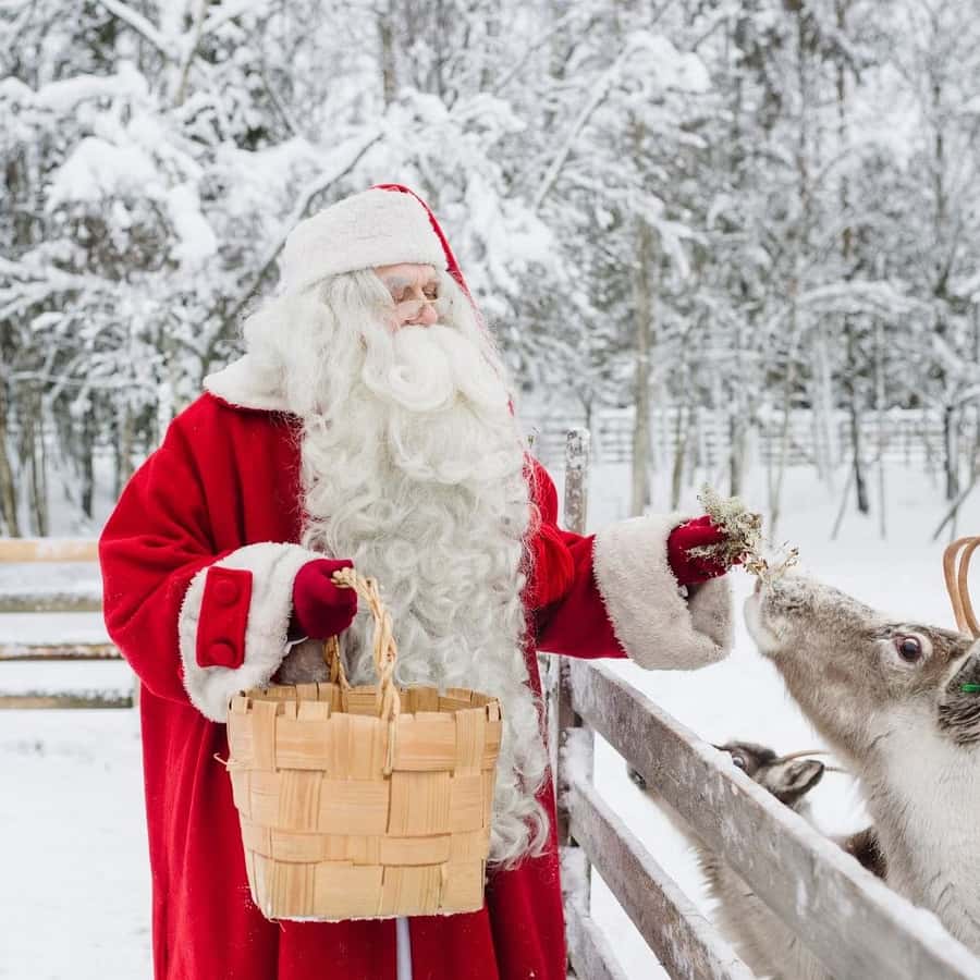 Медиаколлаж