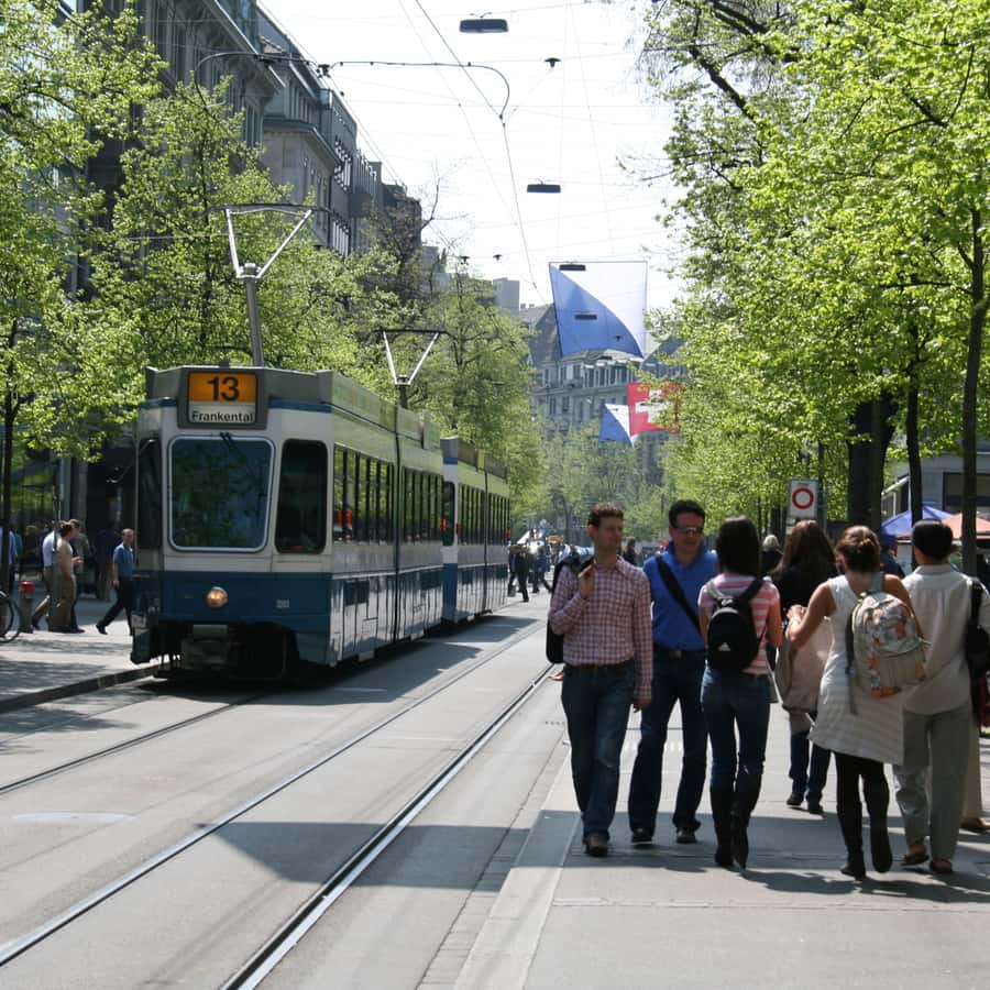 Galerie média