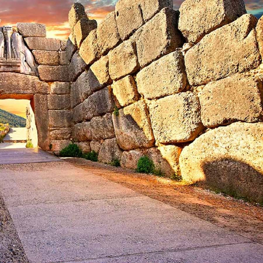 Galería de fotos para redes