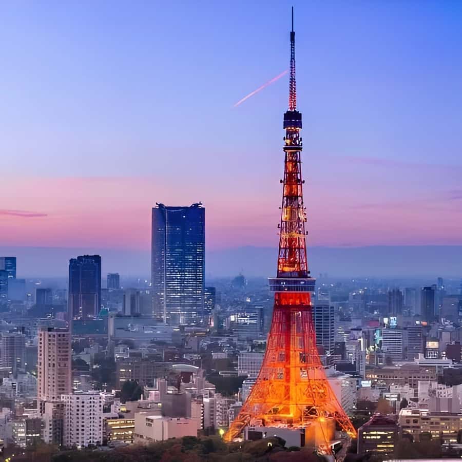 Tokyo Tower: Entry Ticket & Private Hotel Pickup Service