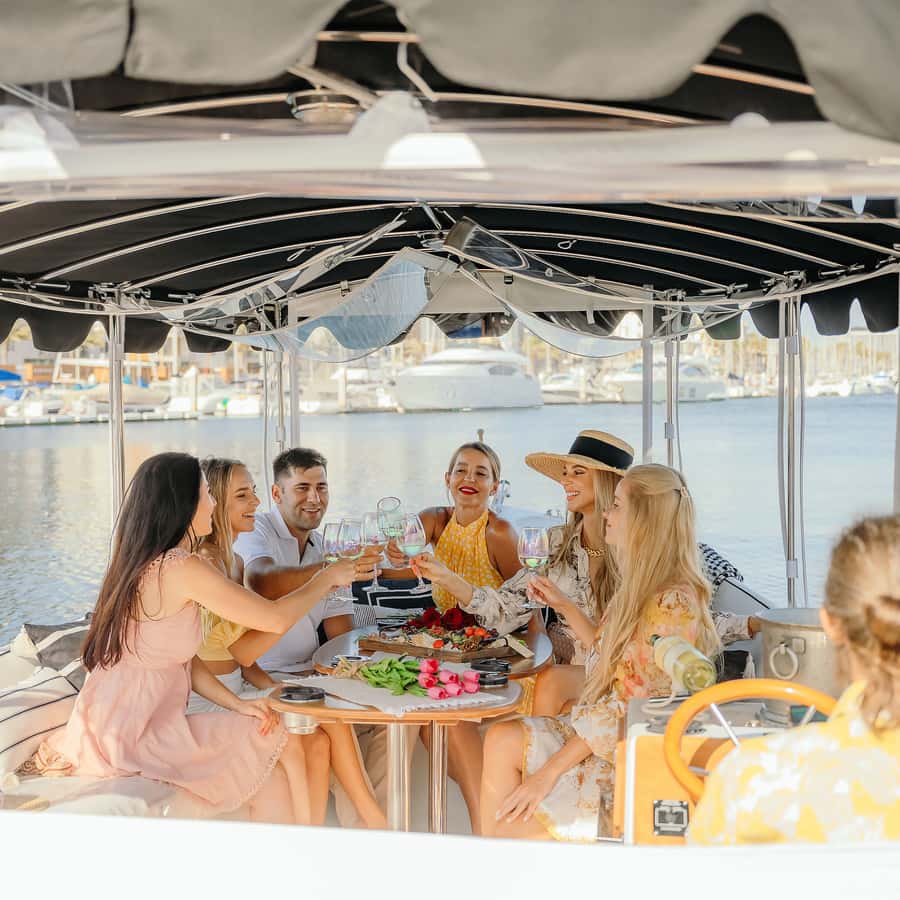 Los Angeles: Luxury Cruise with Wine, Cheese & Sea Lions
