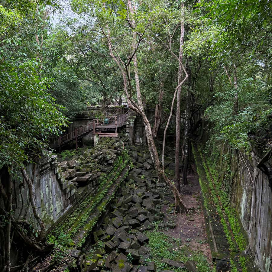 Colagem de mídia