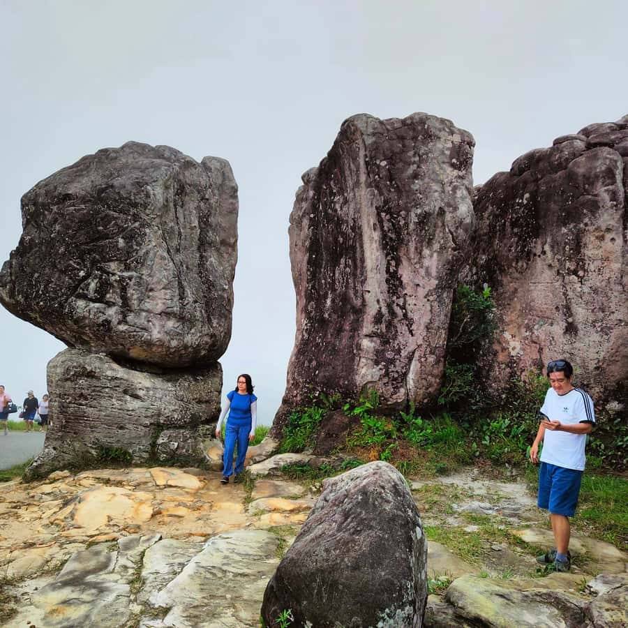 Colagem de mídia
