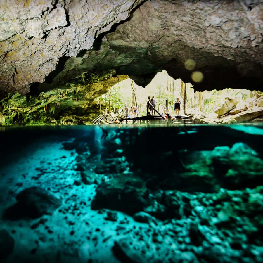 シャンプー TULUM Shine Tulum Swimsuit - Mahogany Shine – VENUS