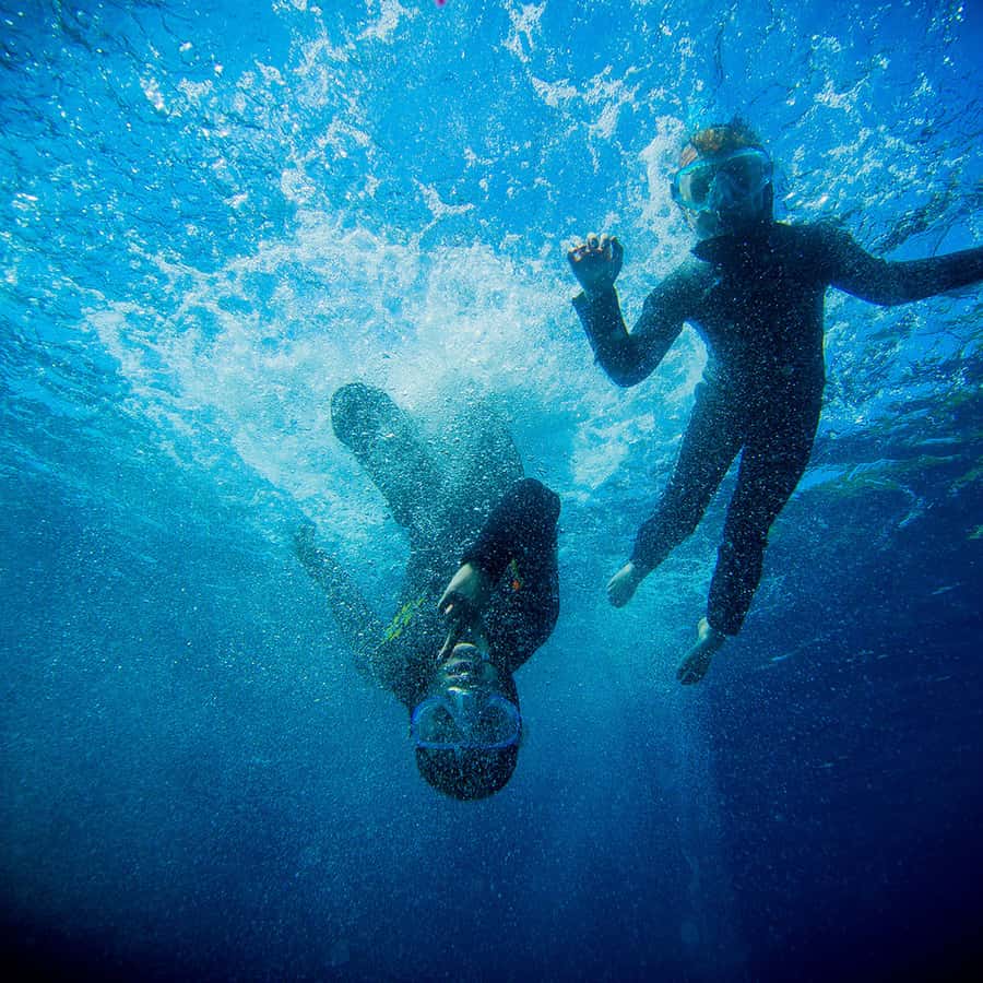 Nice: Speedboat Day Trip with Snorkeling in Villefranche Bay