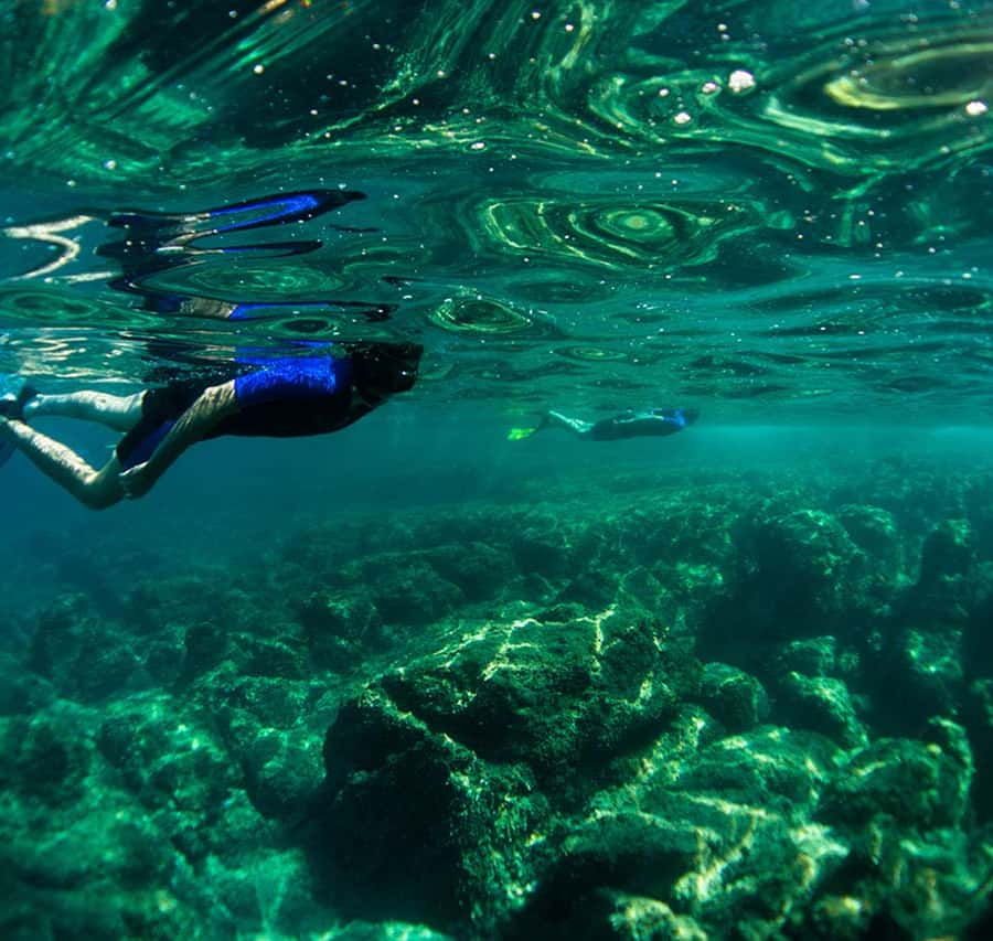 Nice: Speedboat Day Trip with Snorkeling in Villefranche Bay