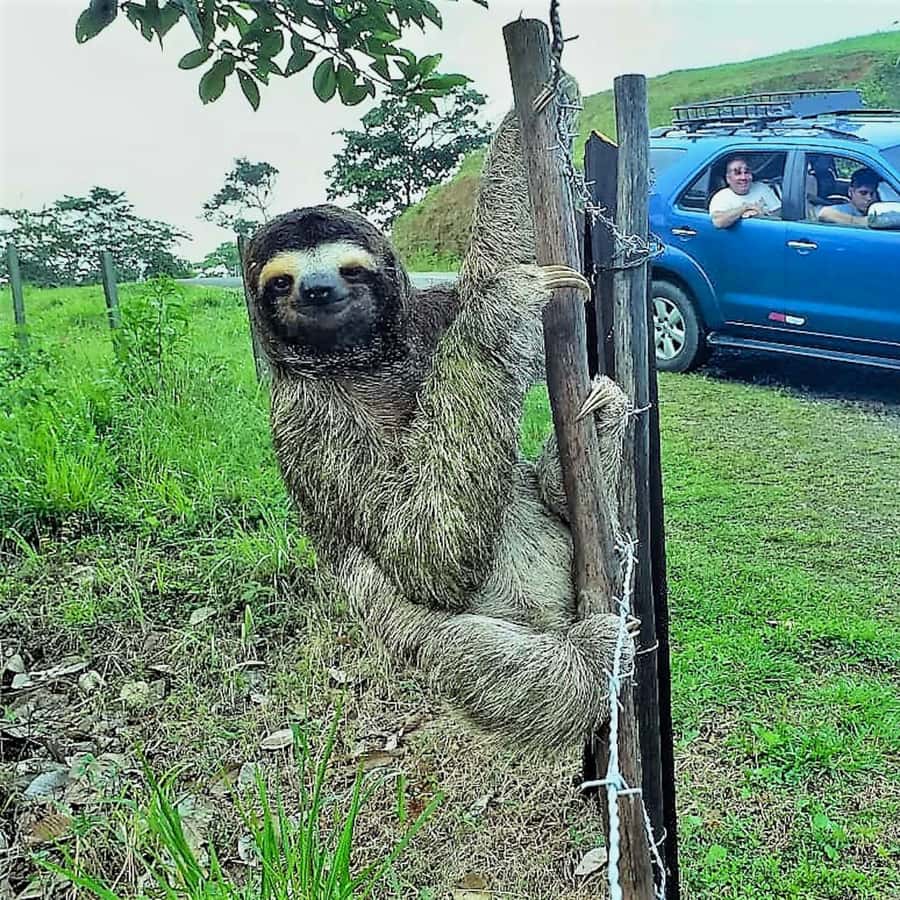 Colagem de mídia