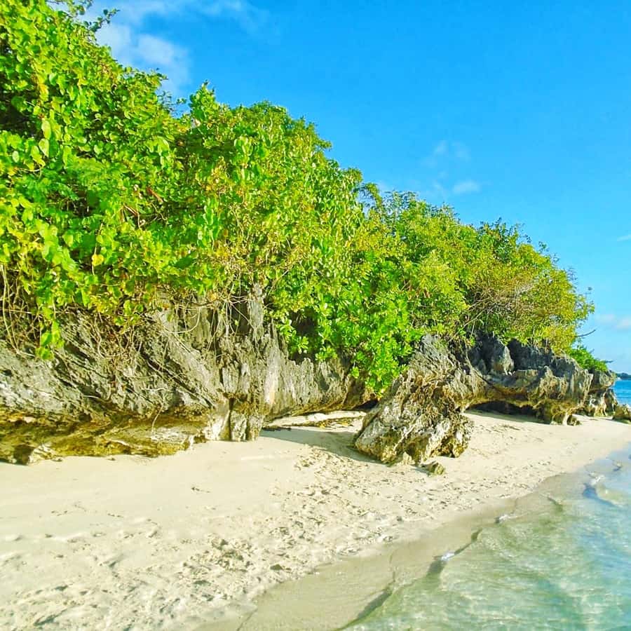 일 오 아이그레트 리저브 & 블루 베이 유리 바닥 보트 | GetYourGuide