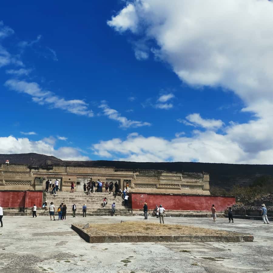 Galería de fotos para redes