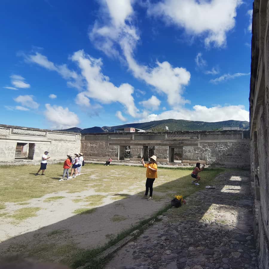 Galería de fotos para redes