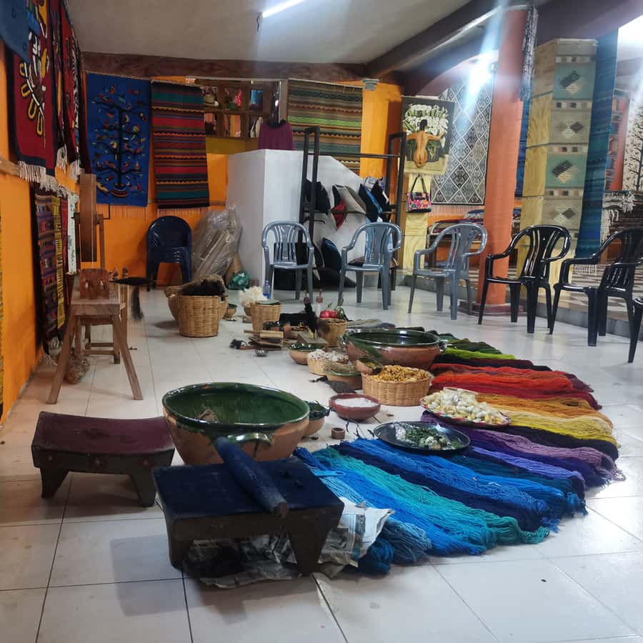 Galería de fotos para redes