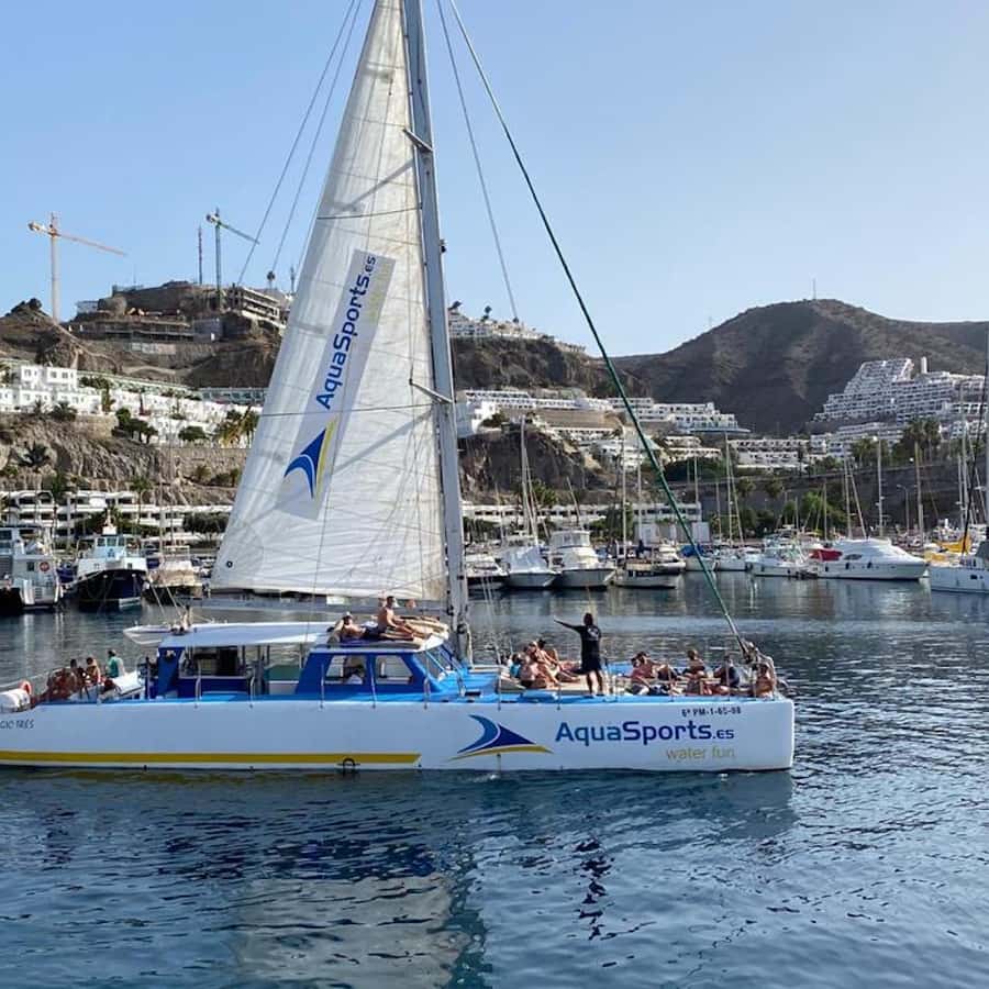 Puerto Rico: 4-Hour Catamaran Excursion in the South
