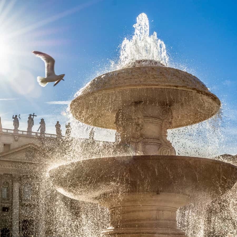 Galería de fotos para redes