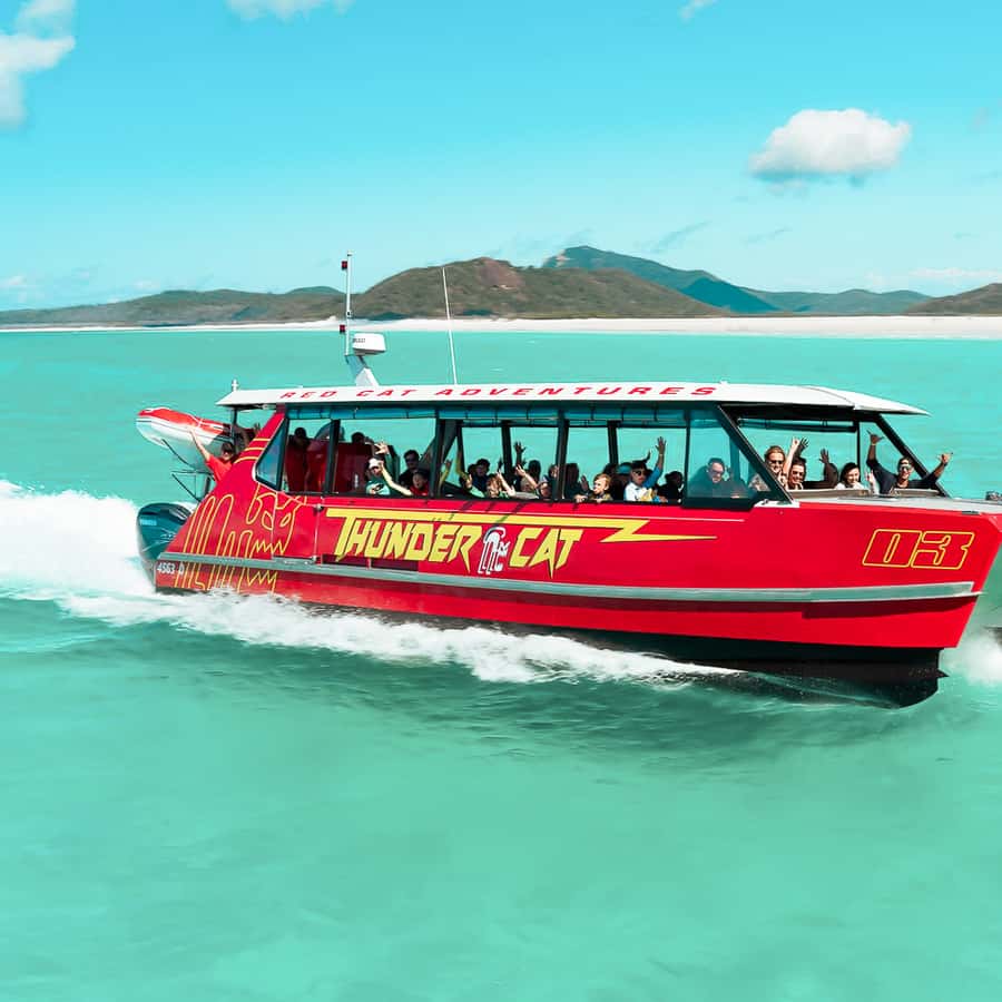 Airlie Beach: Whitehaven Full-Day Eco-Cruise with Buffet