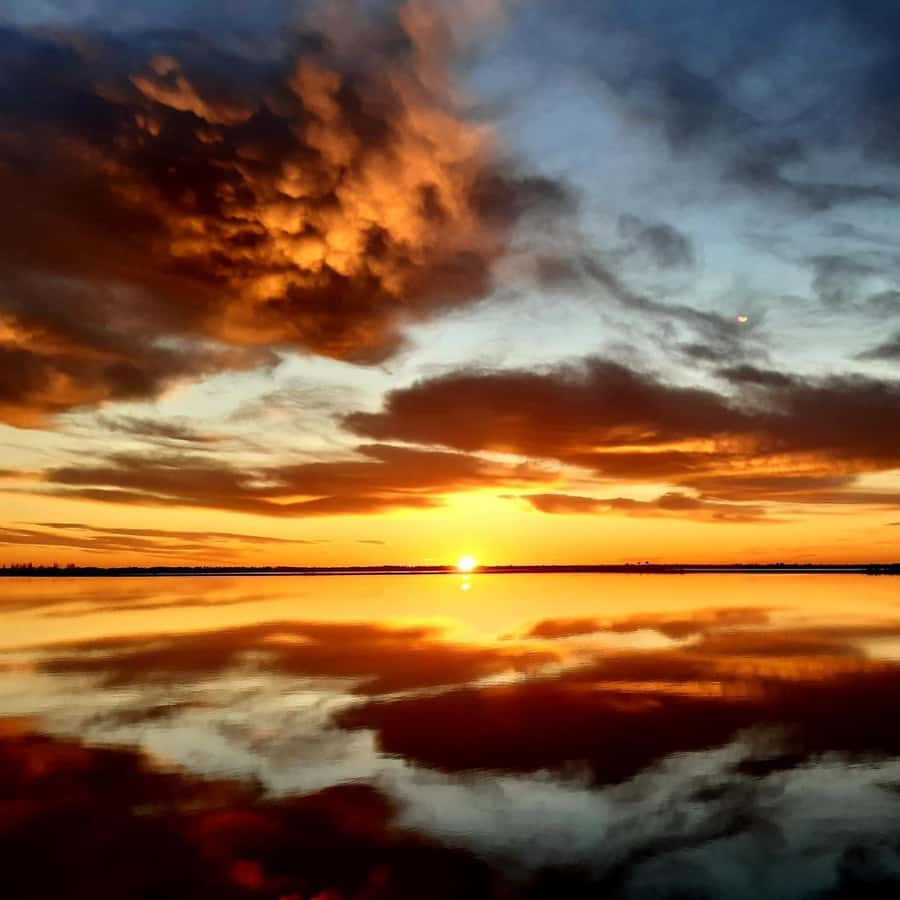 Galería de fotos para redes