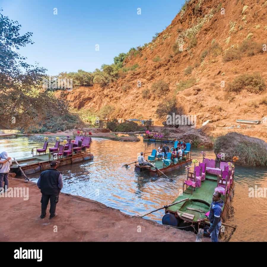 Galería de fotos para redes