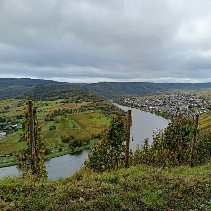 Colagem de mídia