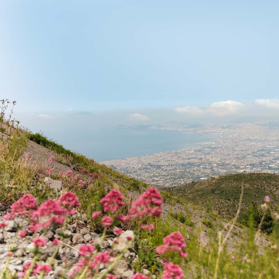 Galería de fotos para redes