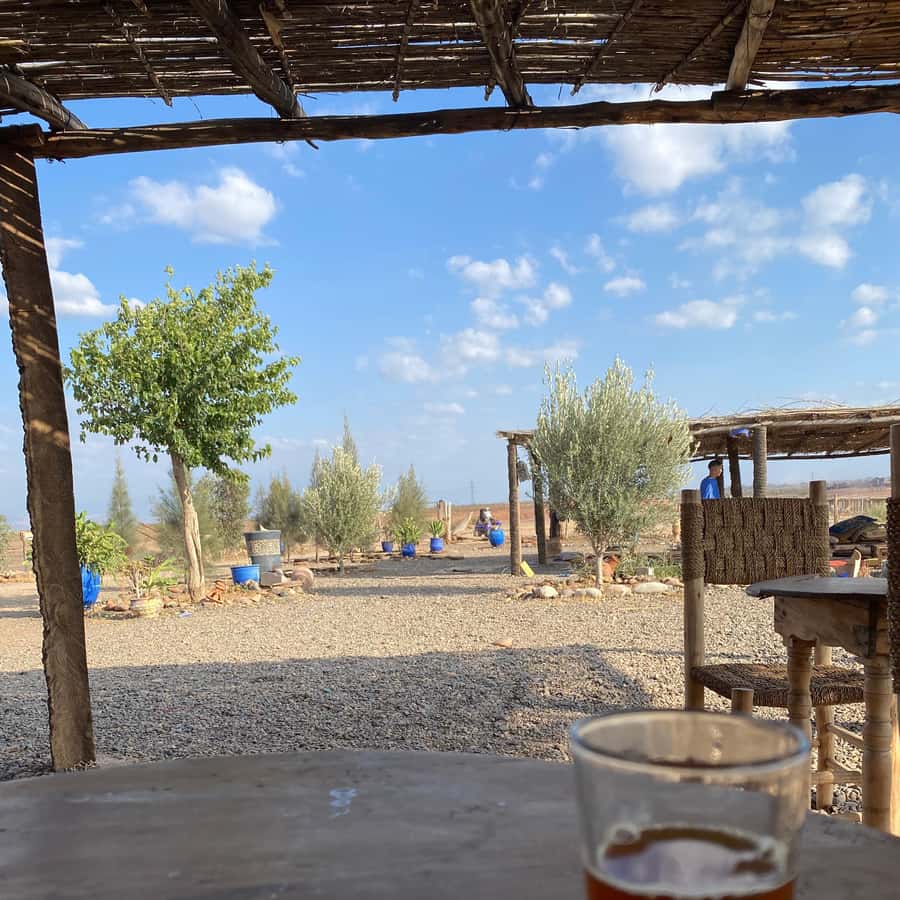Quad biking in Marrakech's desert palm grove