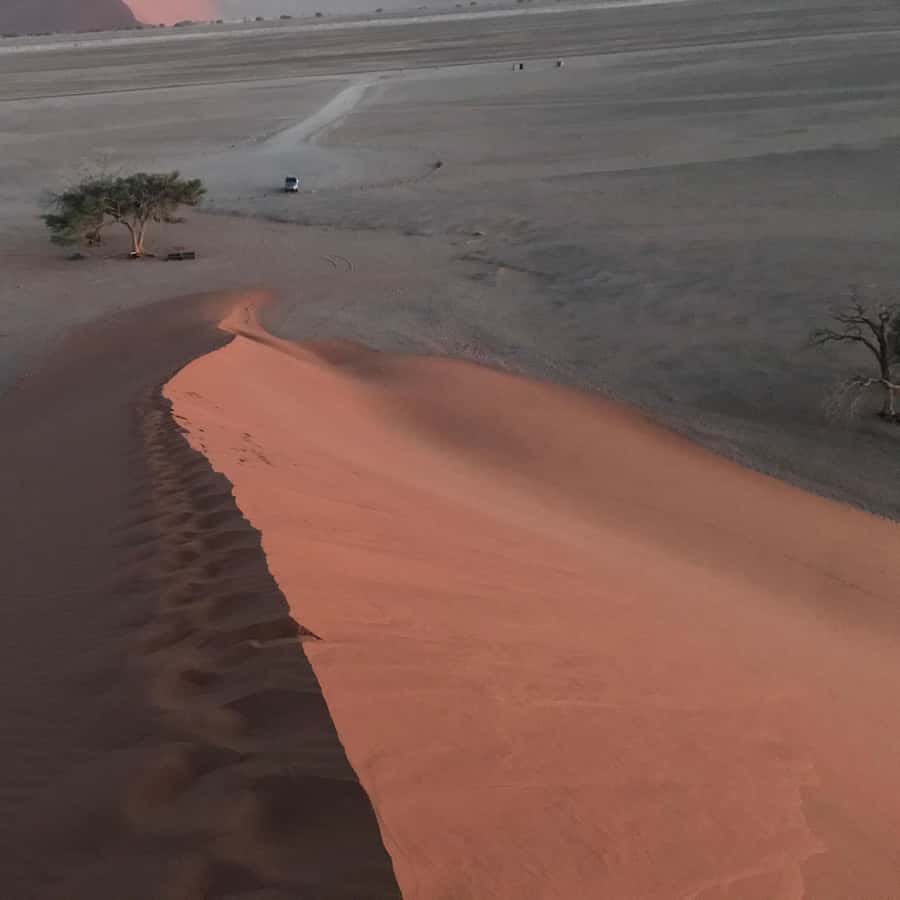 Galería de fotos para redes