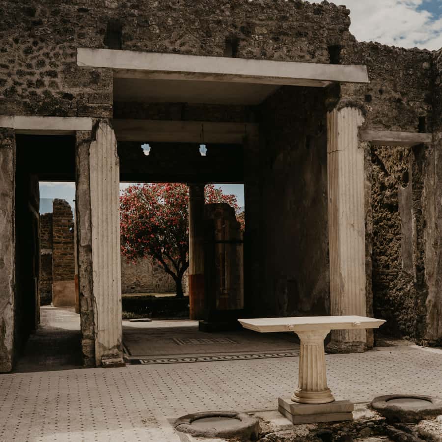 Galerie média