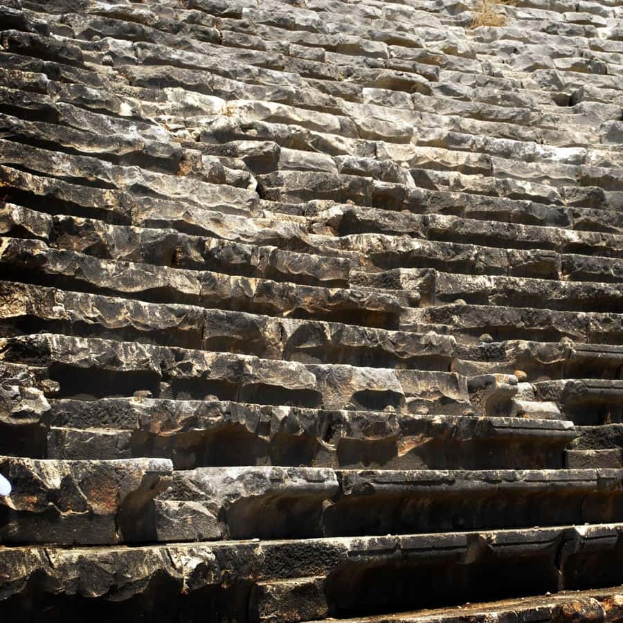 Galería de fotos para redes