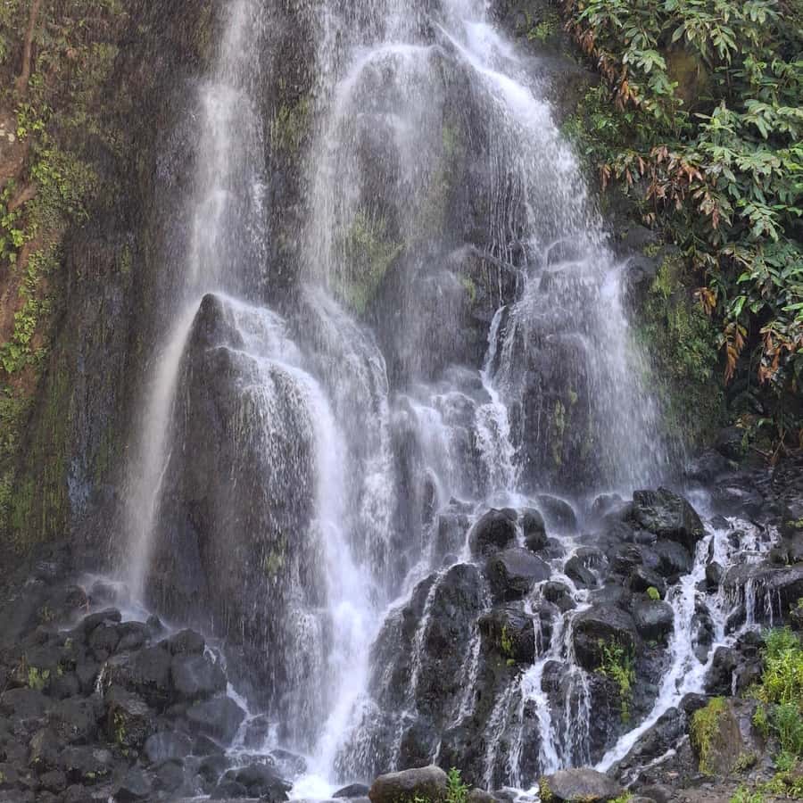 Colagem de mídia