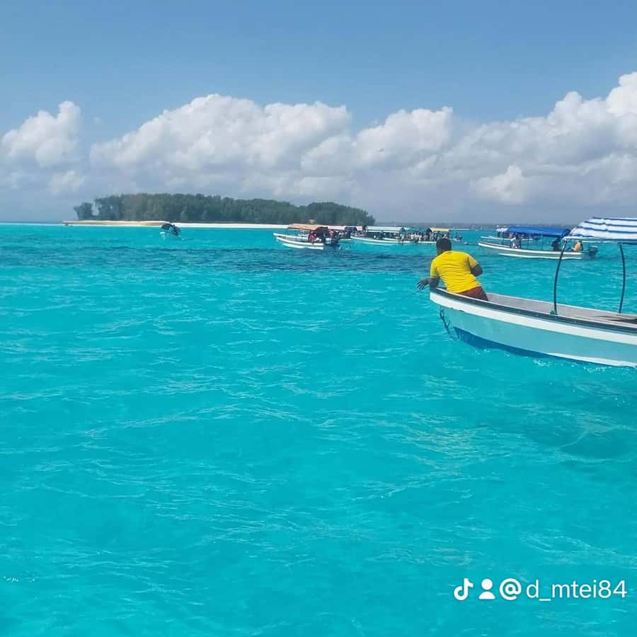Galería de fotos para redes
